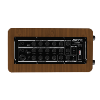 Aroma Ag60A Acoustic Guitar Amplifier