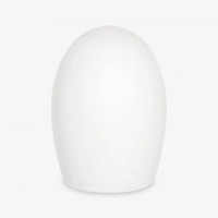 Ahead Replacement Tip White Wood Like