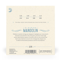 Set Mandolin Phos Brz Light