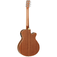 Tanglewood Tw9 Winterleaf Folk Acoustic Electric Guitar