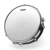 Evans Heavyweight Dry 14" Coated