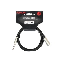 010 Ft Male Xlr - 6.5 Stereo Jack Cable