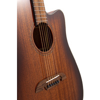 Alvarez Artist Dread D66Ce Shb