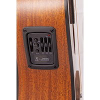 Alvarez Artist Dread D66Ce Shb