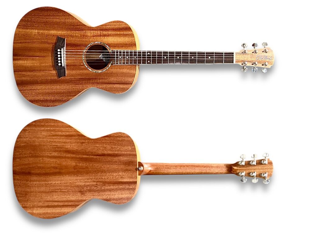 Cole Clark Studio AN1 Acoustic Guitar