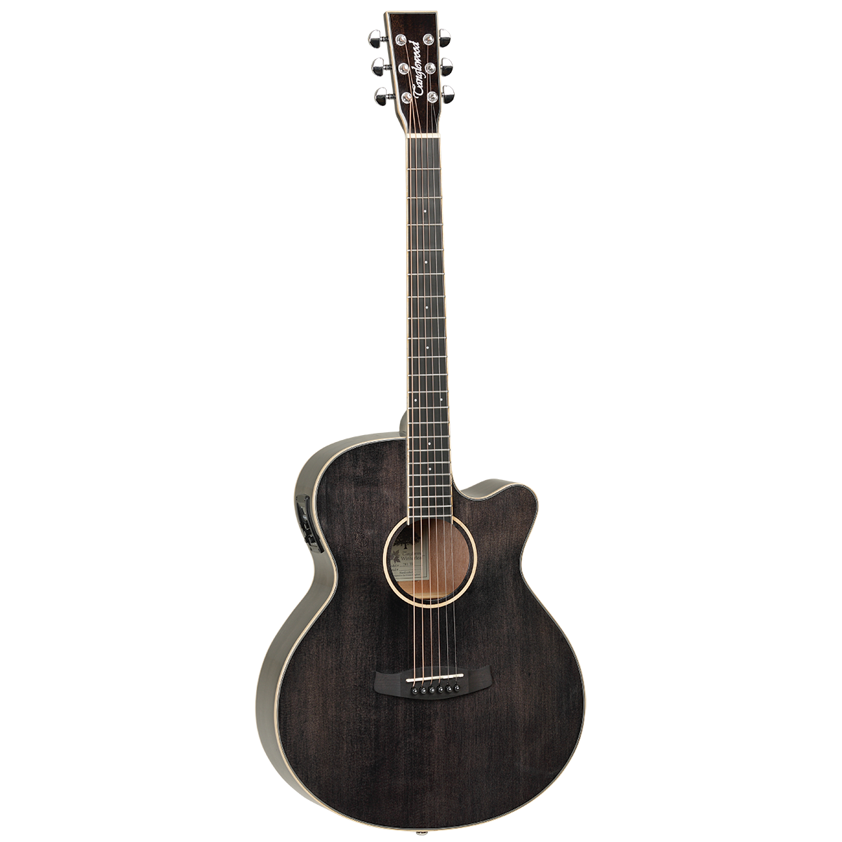 Tanglewood TW4BS Winterleaf Super Folk C/E Black Shadow