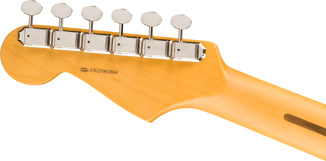 Fender American Professional Classic Stratocaster® HSS, Maple Fingerboard, Faded Black