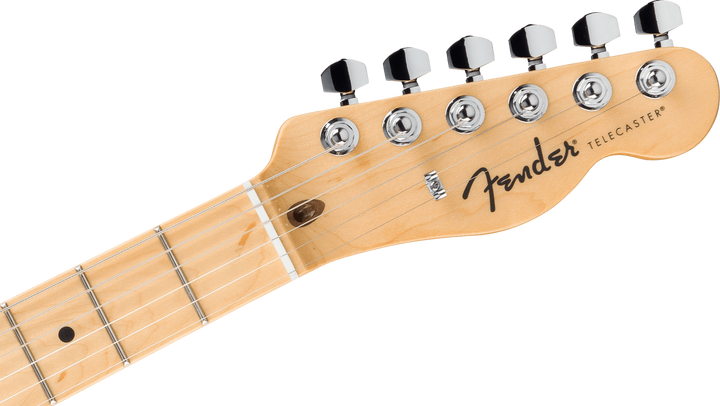 Standard Telecaster®, Maple Fingerboard, Black Pickguard, Butterscotch Blonde