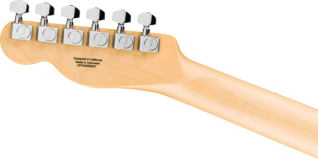 Standard Telecaster®, Maple Fingerboard, Black Pickguard, Butterscotch Blonde