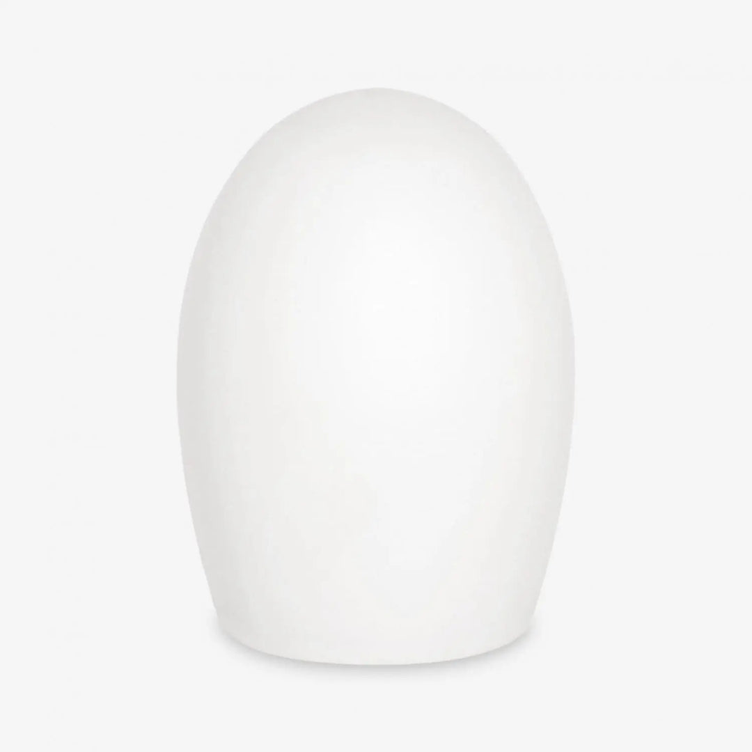 Ahead Secret Artist White Nylon Replacement Tips