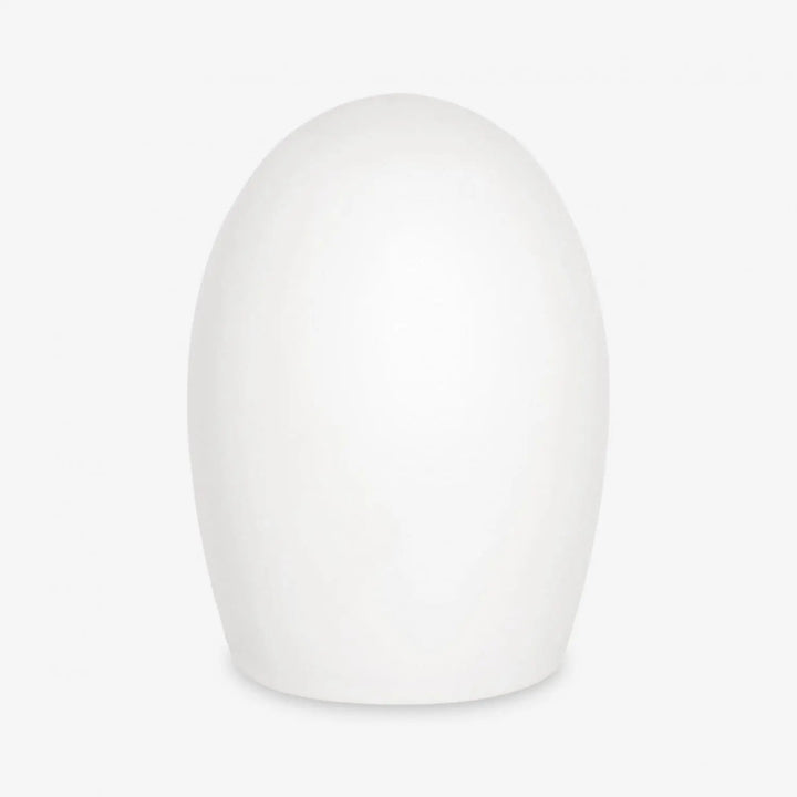 Ahead Secret Artist White Nylon Replacement Tips