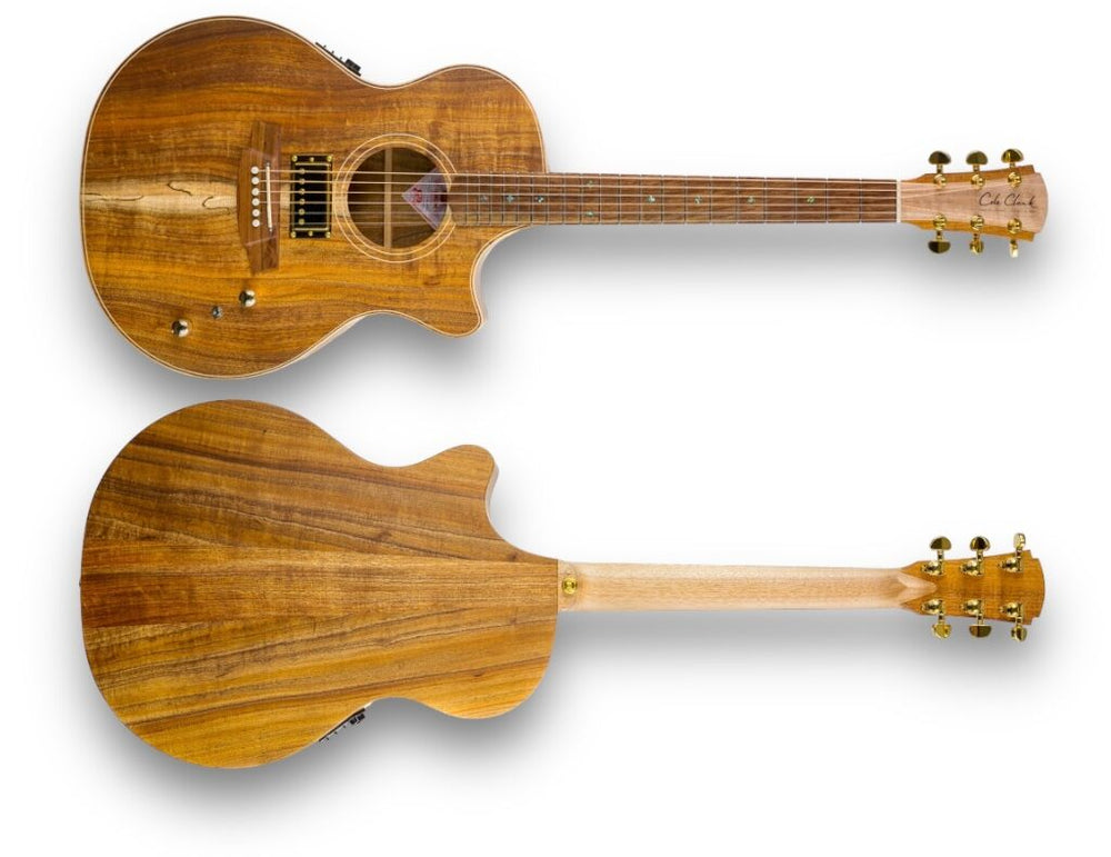 Cole Clark TL2ES Thinline Acoustic Elec Guitar with Humbucker