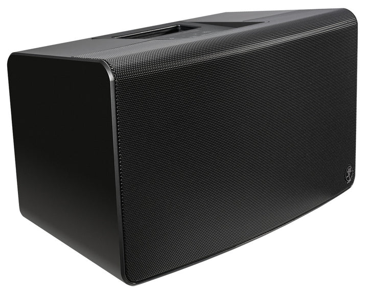 150W Personal PA w/ Bluetooth