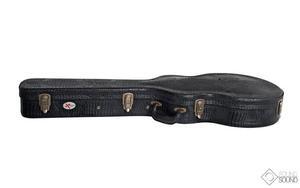 Xtreme 335/Jazz Case