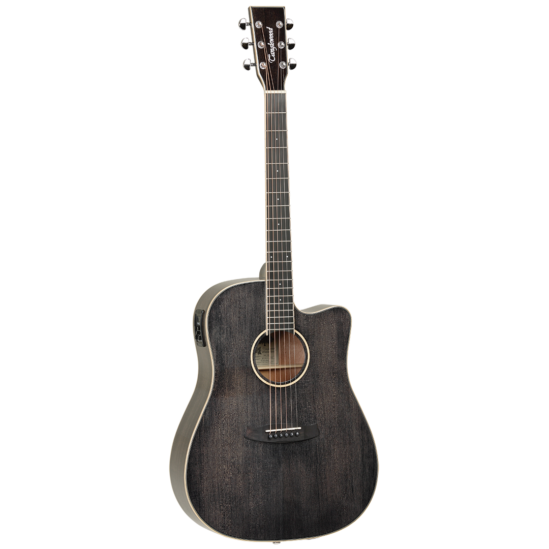 Tanglewood TW5BS Winterleaf Dreadnought C/E Black Shadow