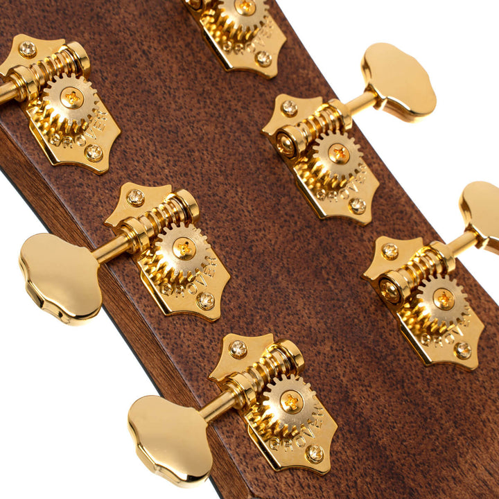 Cort Gold-DC6 - Natural Gloss
