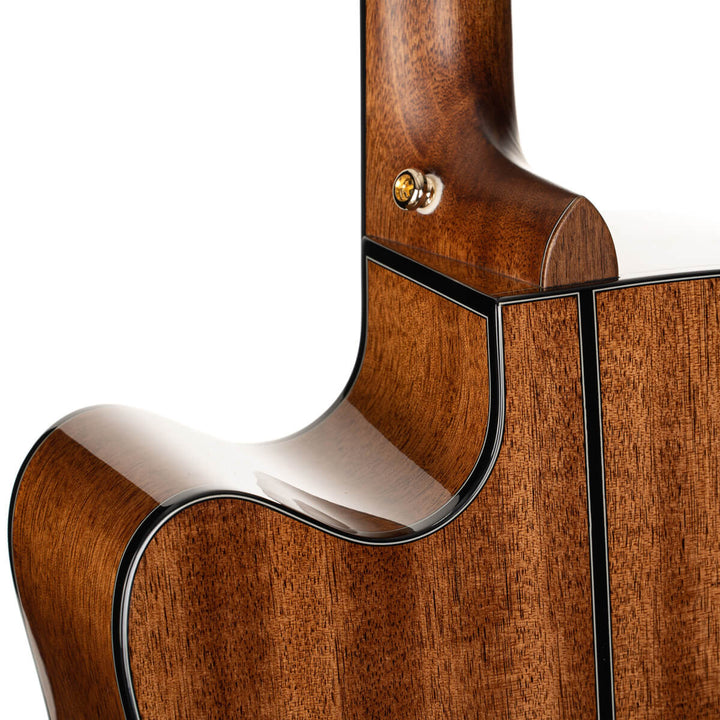 Cort Gold-DC6 - Natural Gloss